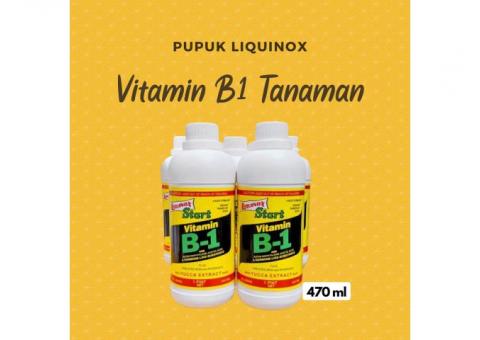 Vitamin B1 Tanaman 470 ml